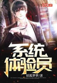 体验版系统