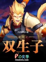 龙珠之双生子女主