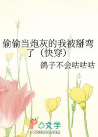 偷偷宠你(娱乐圈)