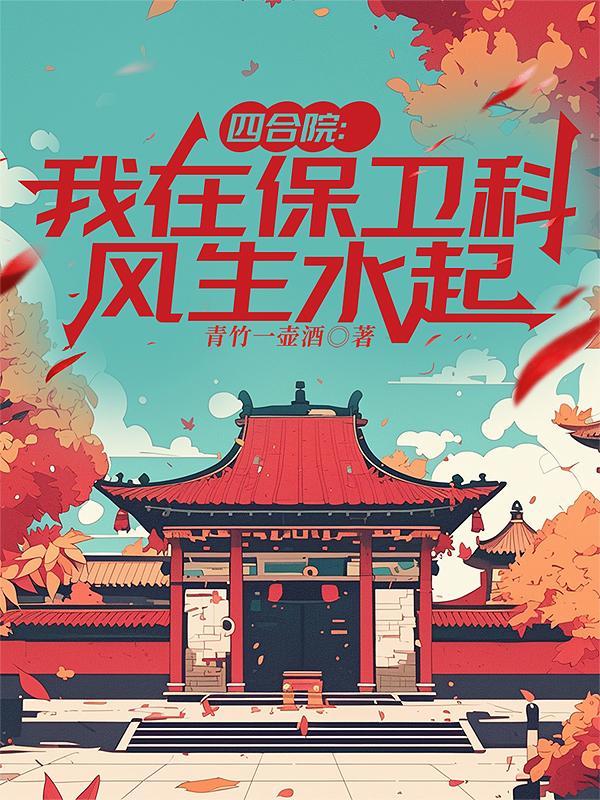 四合院警察