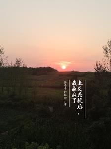 我被系统坑了以后