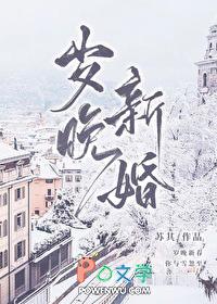岁晚新婚陈橘白全文阅读