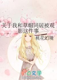 草帽海贼团最强船副