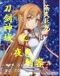 刀剑神域夜光之剑 刀剑神域夜光之剑