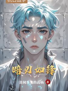 暗刃22集