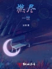 燃尽最后