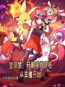精灵宝可梦伊布队