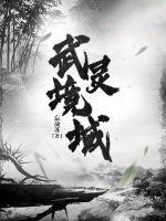 气武境灵武境地武境天武境