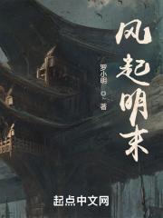 风起明末无弹窗 笔趣阁全本
