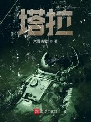 塔拉夏套装属性
