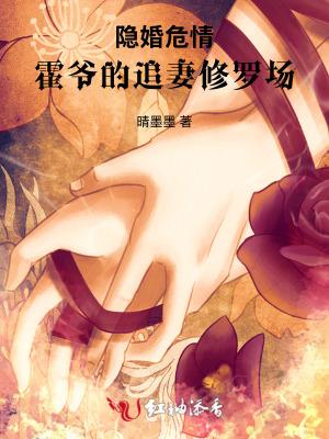 隐婚猎爱霍少的心尖宠