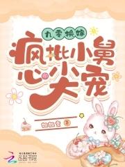 九零换嫁疯批小舅心尖宠txt