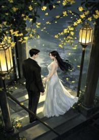 破镜重圆(1v1先婚后爱)