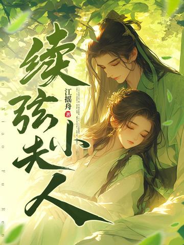 续弦小夫人讲的什么