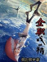 全职作品