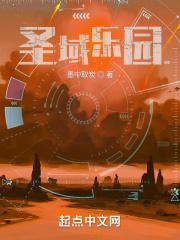 圣域1攻略