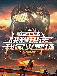 舰娘作战手册免费全文阅读