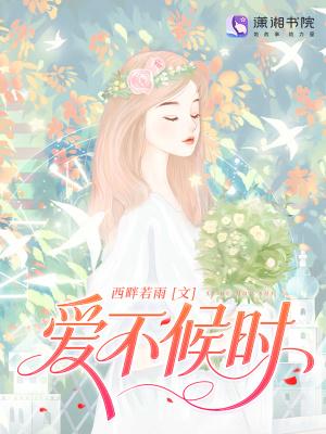风雨大宋无弹窗